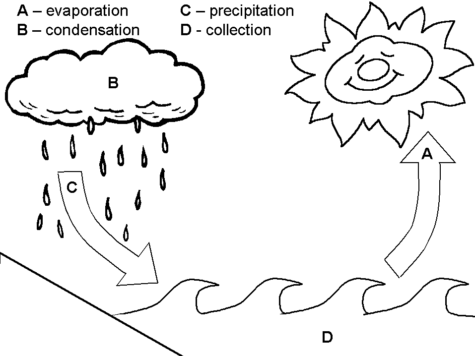 957x718 Teaching The Water Cycle In A Basic Way To Preschool Children On W