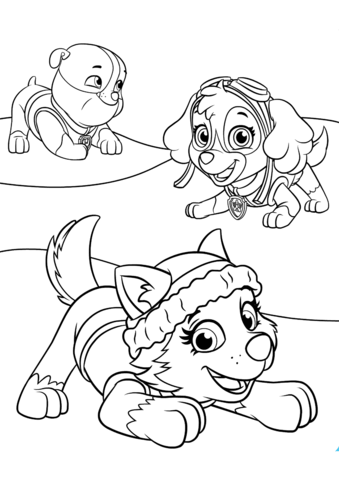 339x480 Everest Plays With Skye And Rubble Coloring Page Free Printable