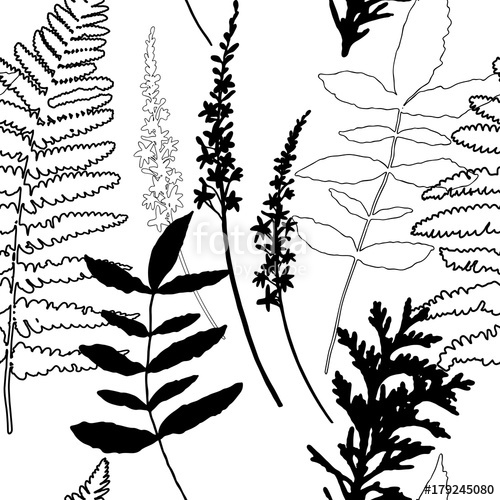 500x500 Floral Vector Seamless Pattern With Wild Flowers, Fern Leaves