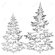 225x225 Image Result For Evergreen Trees Drawing Art Lessons