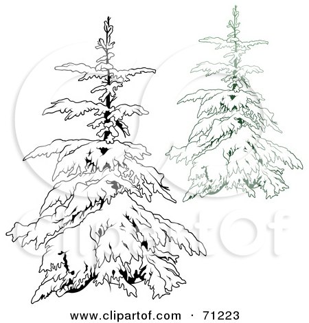 450x470 Royalty Free (Rf) Clipart Illustration Of An Evergreen Tree