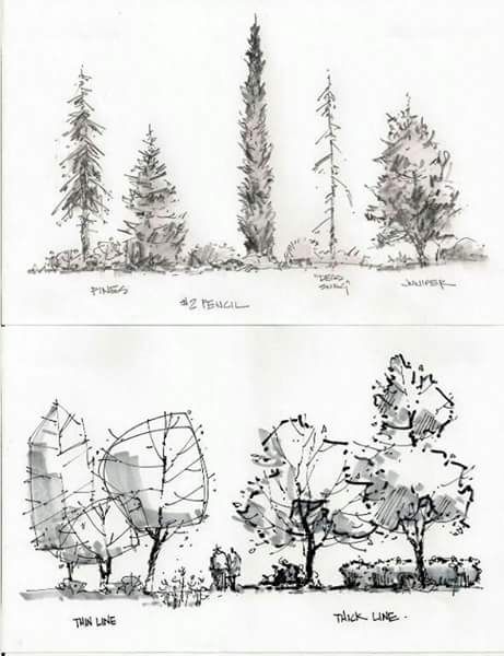 461x600 Sketch Sketching Sketches, Landscaping