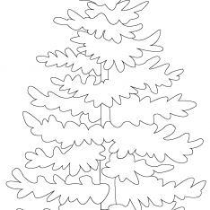 234x234 Evergreen Trees Coloring Pages