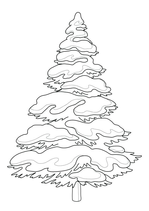 Evergreen Tree Coloring Page Sketch Coloring Page