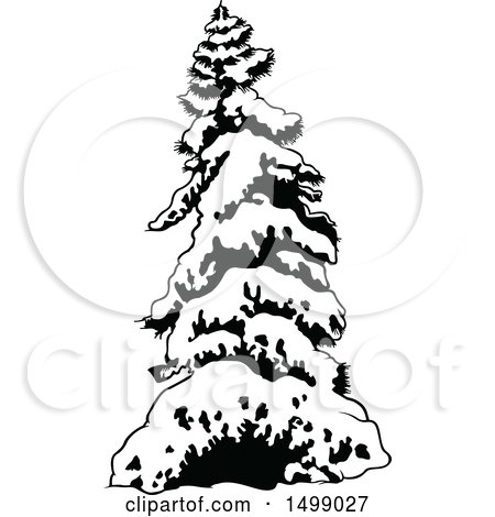 450x470 Clipart Of A Border Of Snow Flocked Evergreen Trees