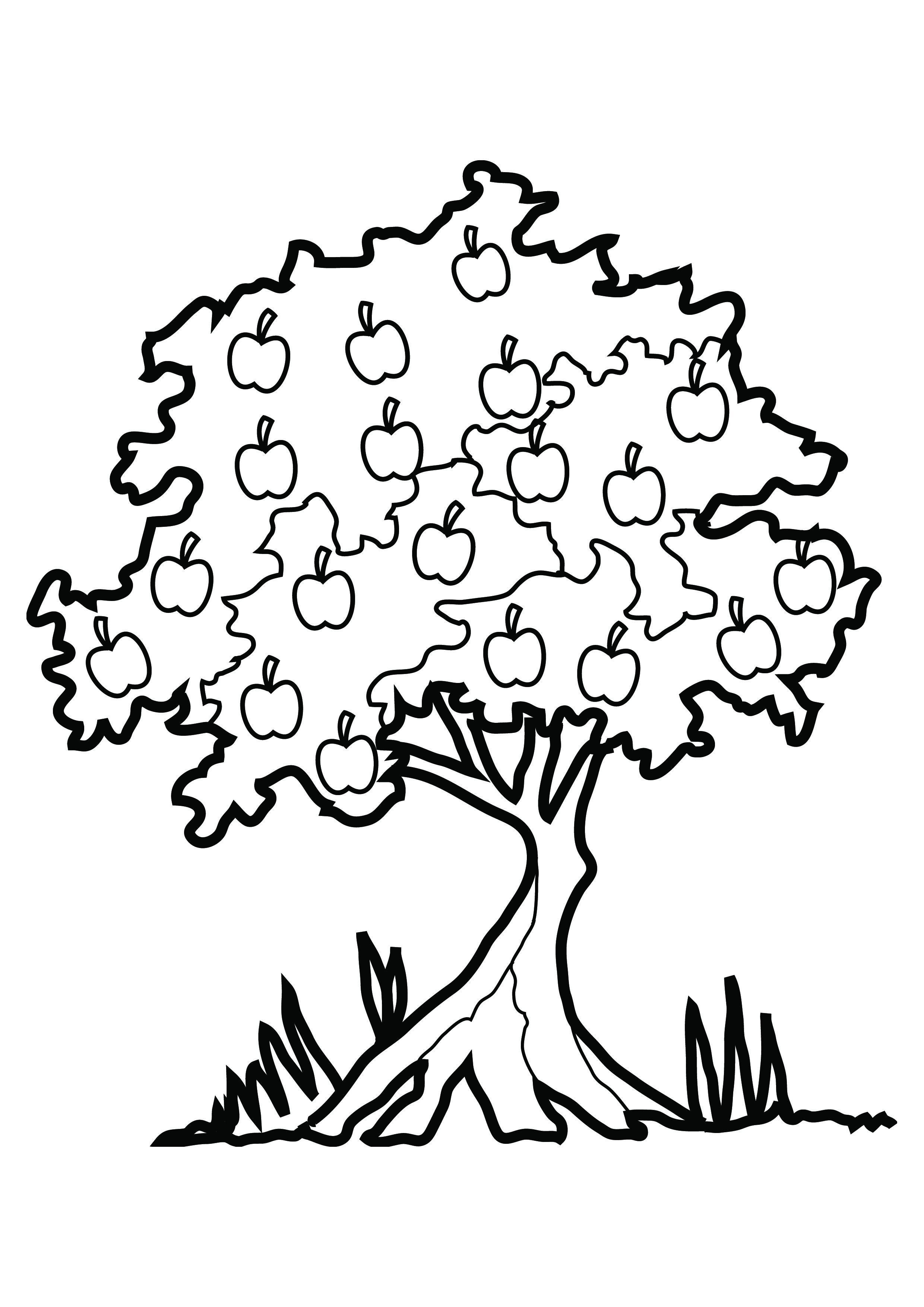 2480x3508 Coloring Pages Coloring Pages Draw A Tree Sheet Booksforkids