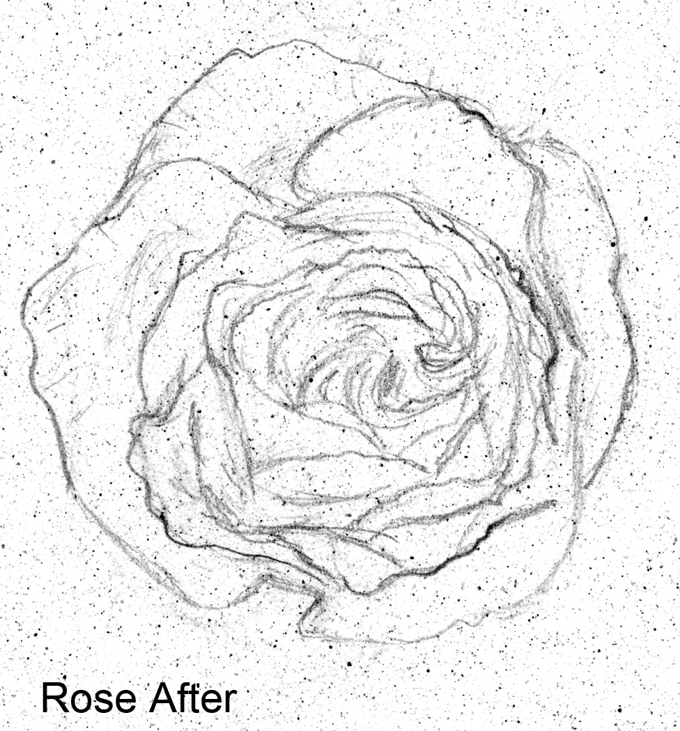 976x1050 Learn How To Draw People (And Everything Else)