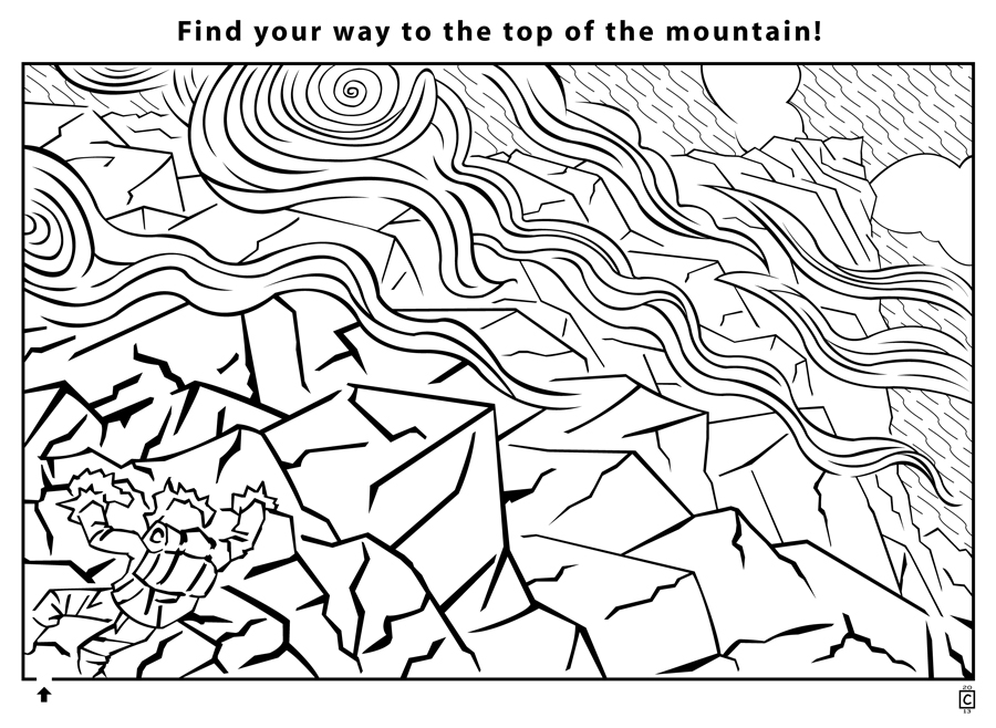 900x658 Black And White Everything Is Wild Page 3