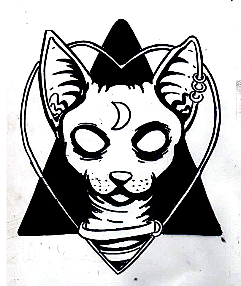 812x962 The World's Best Photos Of Cat And Marcosbracho