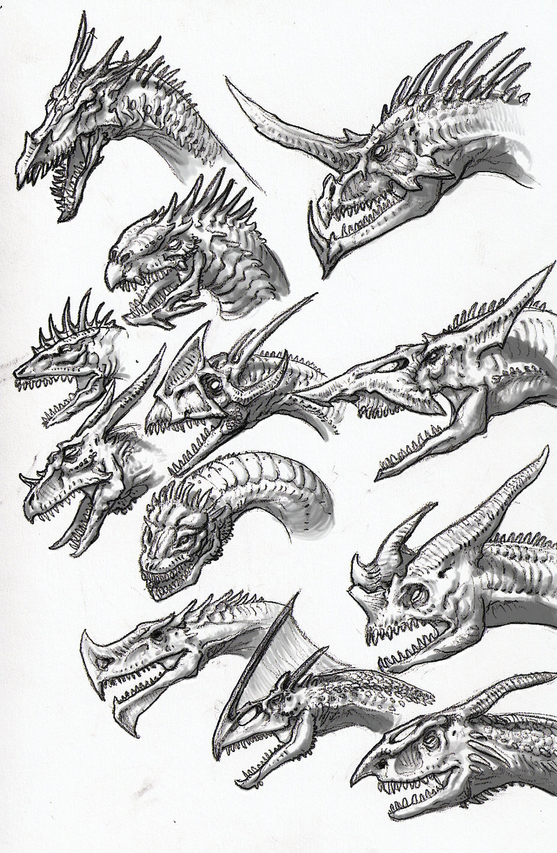 800x1224 Evil Dragon Sketches In Pencil Dragon Sketches 03 By Dsil