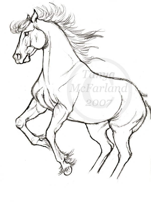 Evil Horse Drawing at GetDrawings | Free download