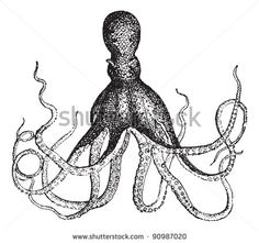 236x221 Giant Evil Kraken Logo, Silhouette Octopus Sea Monster
