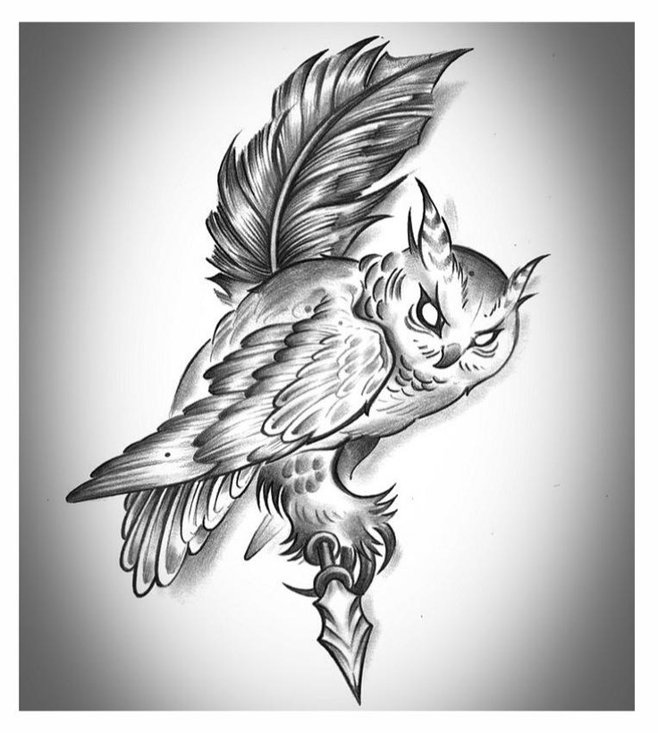 Evil Owl Drawing at GetDrawings | Free download