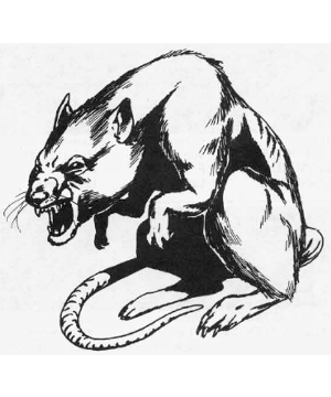 300x360 Rat (Monstrous Manual)