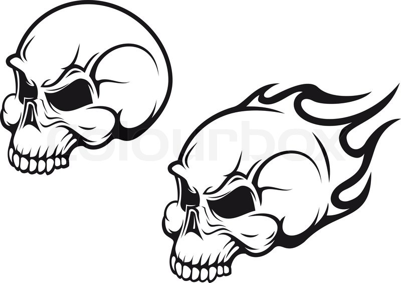 800x564 Danger Skulls As A Tattoo Or Evil Concept Stock Vector Colourbox