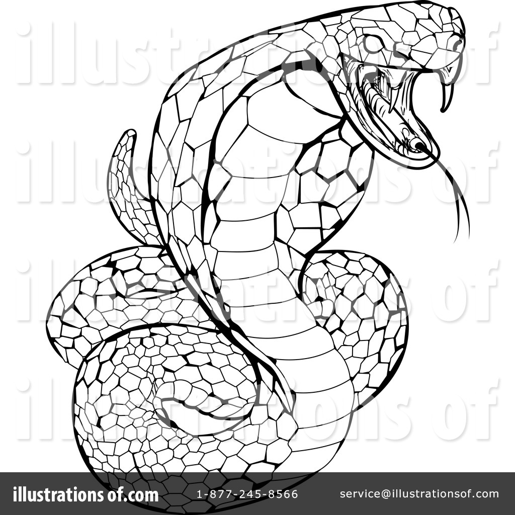 1024x1024 Snake Clipart