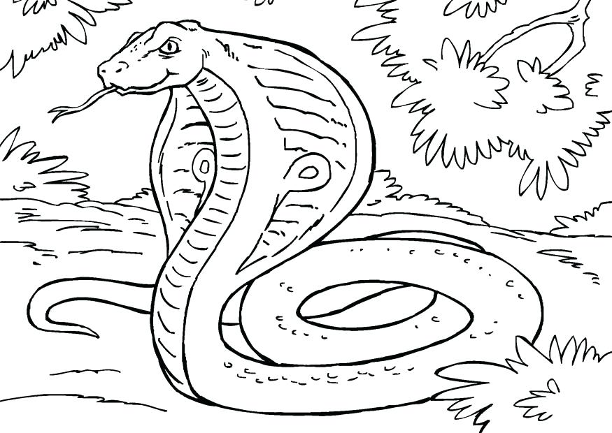 875x620 Coloring Pages Of A Snake Coloring Pages Of Snakes Evil Fairy