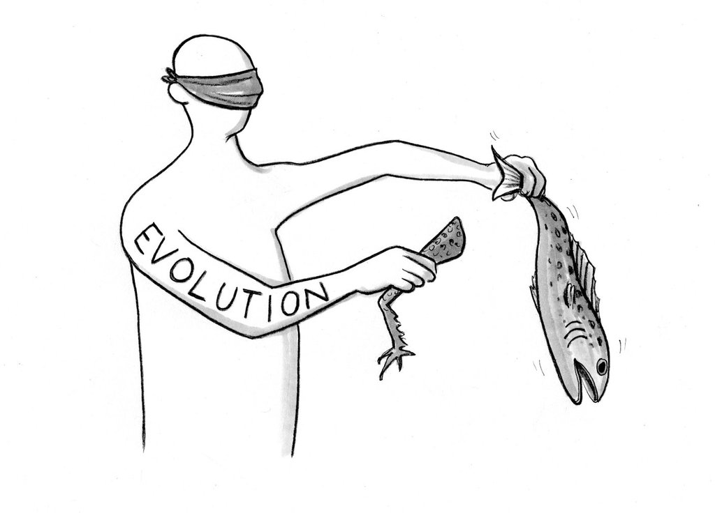 1024x736 How Evolution And Logic Relate Natural Filtering Vs Foresight