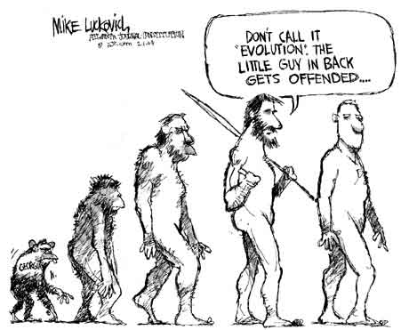 460x371 Human Evolution