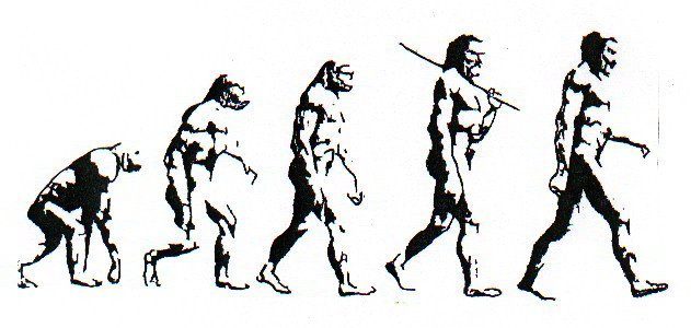631x300 The Theory Of Evolution Does Not Apply To Modern Human Beings