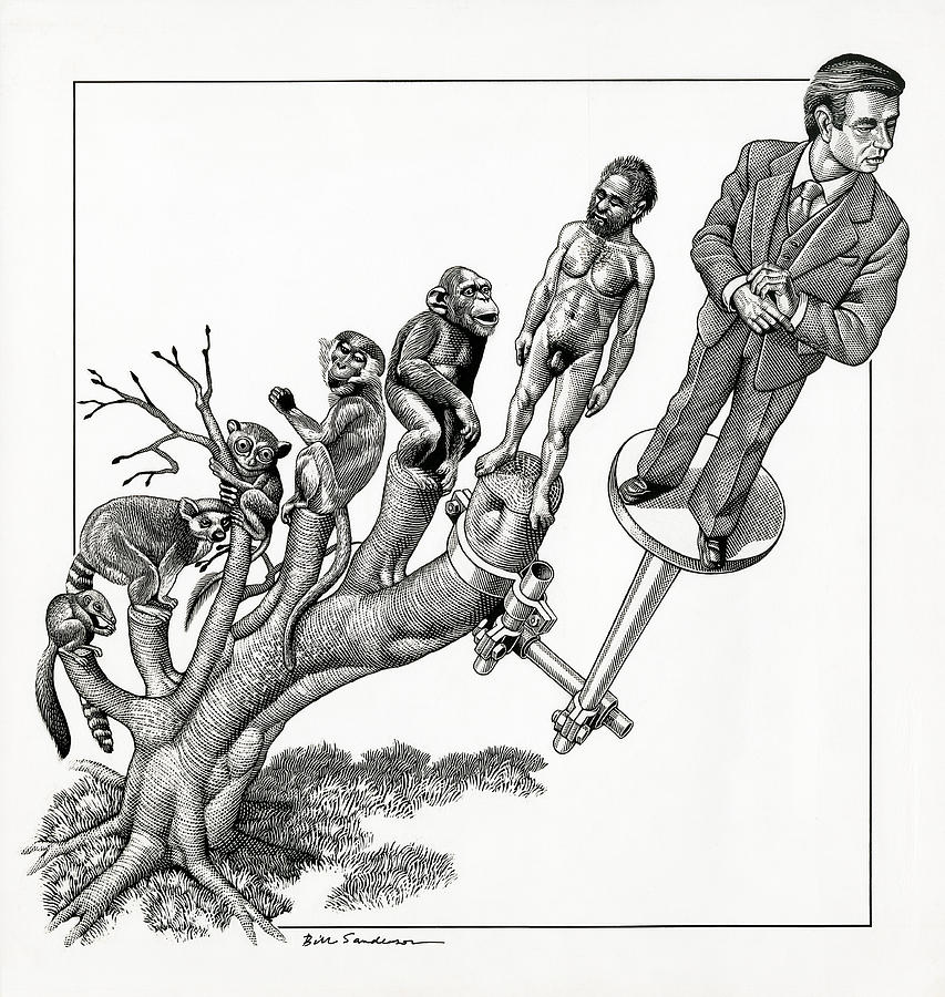 853x900 Human Evolution, Conceptual Artwork Photograph By Bill Sanderson
