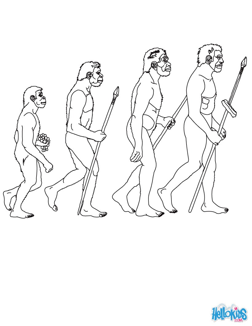 820x1060 Stages In Human Evolution Coloring Pages