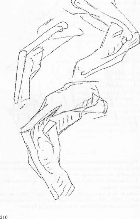 477x746 Pencil Sketch Of Elbow Joint
