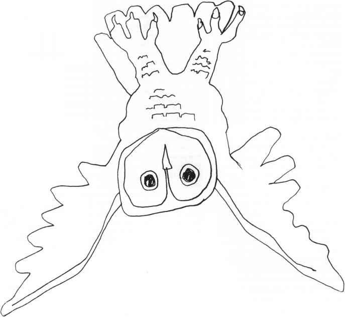 687x631 Recording Shapes Upside Down