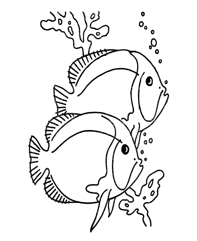 670x820 Simple Fish Coloring Pages