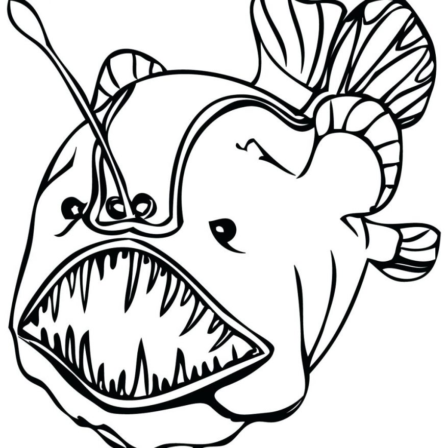 878x878 Tropical Fish Coloring Pages Via 70 Stunning Bird Tropical Fish
