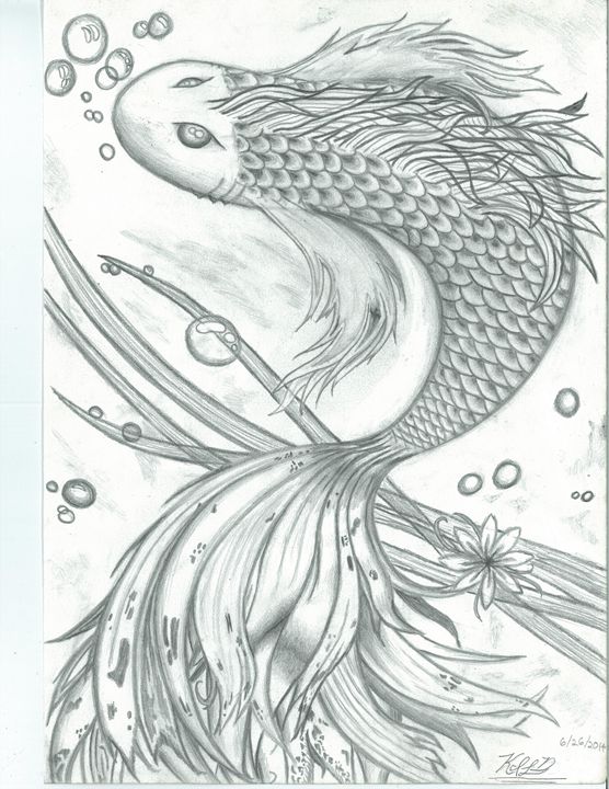 556x720 Black And White Koi