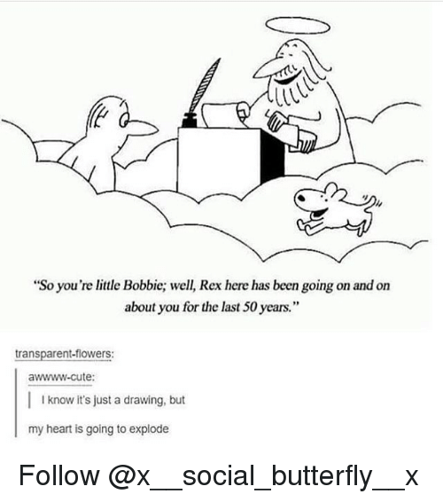 500x566 So You'Re Little Bobbie Well Rex Here Has Been Going