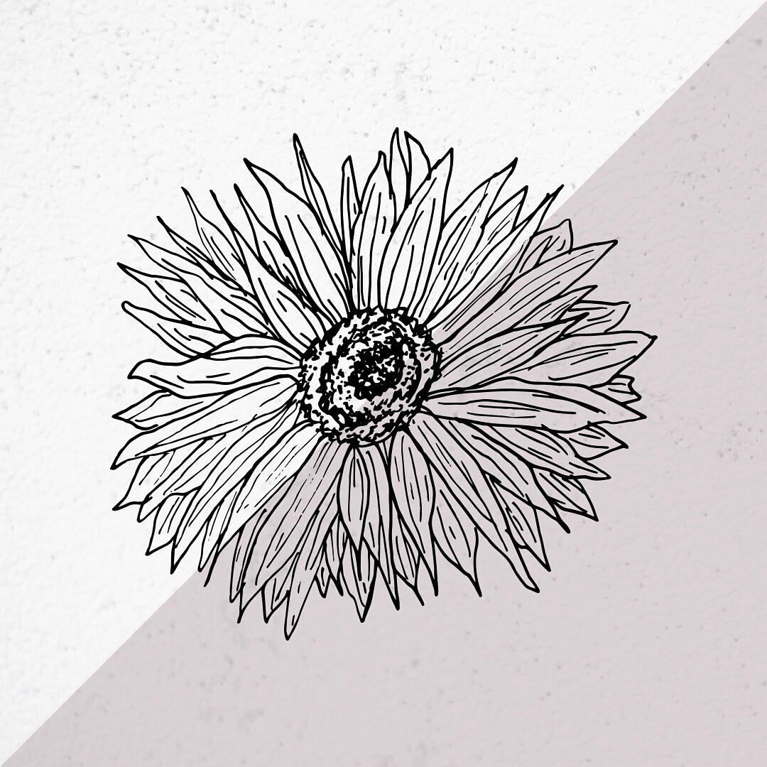 1080x1080 I'Ve Continued Exploring Floral Line Drawings, This Time