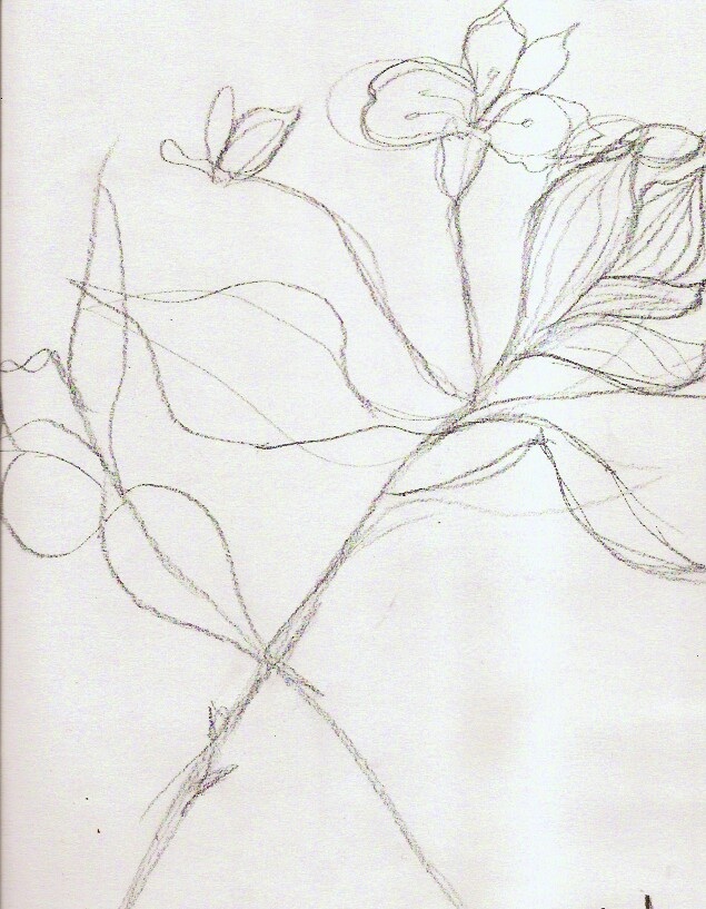 635x817 Santa Cruz Mountains Art Center Sketchers June 2010