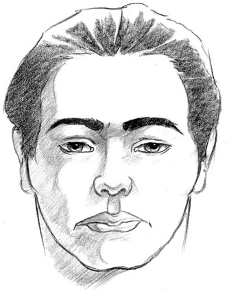 334x422 Sonjebasaland Anatomy