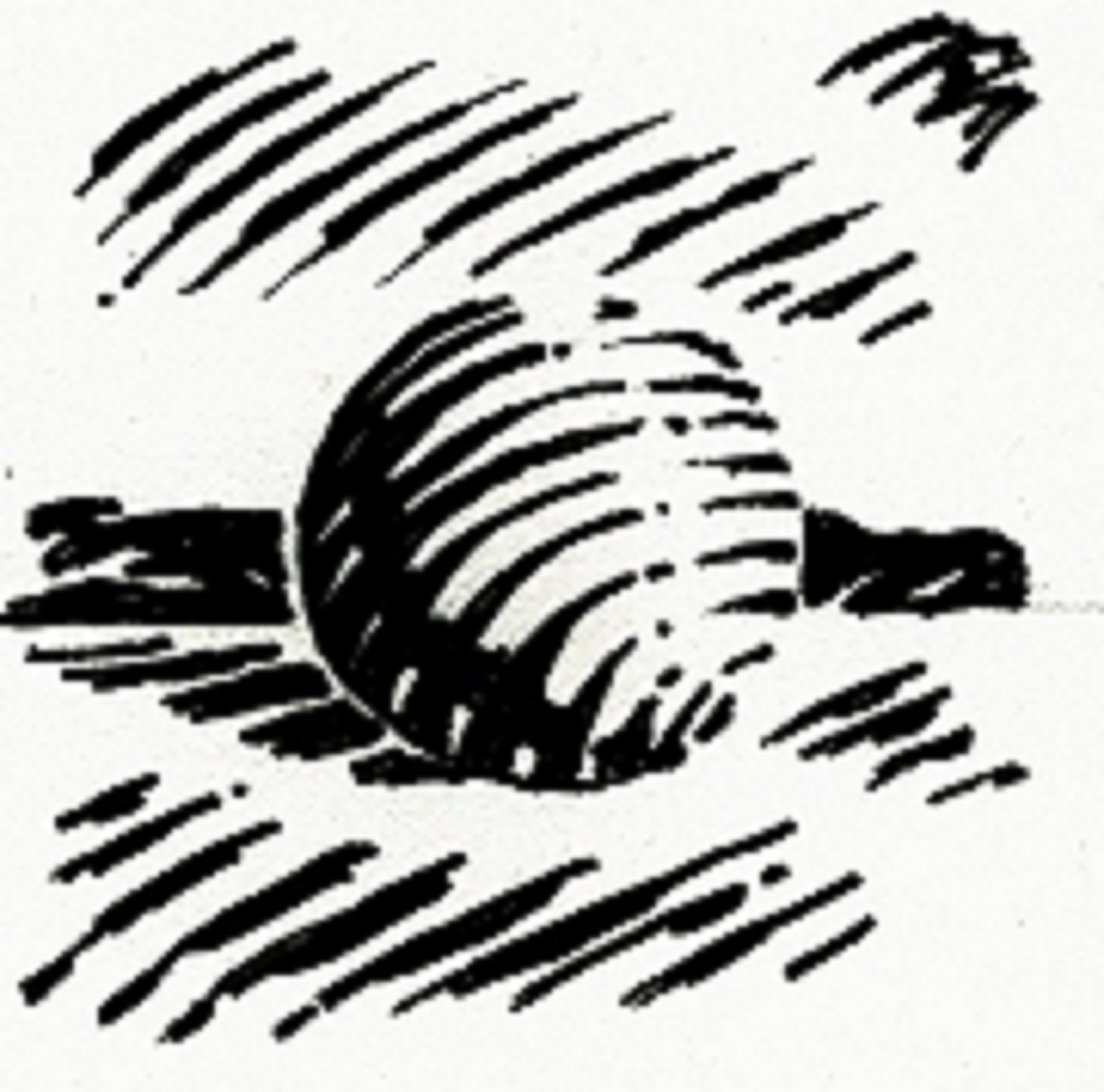 1800x1780 Lines Amp Values Basic Techniques