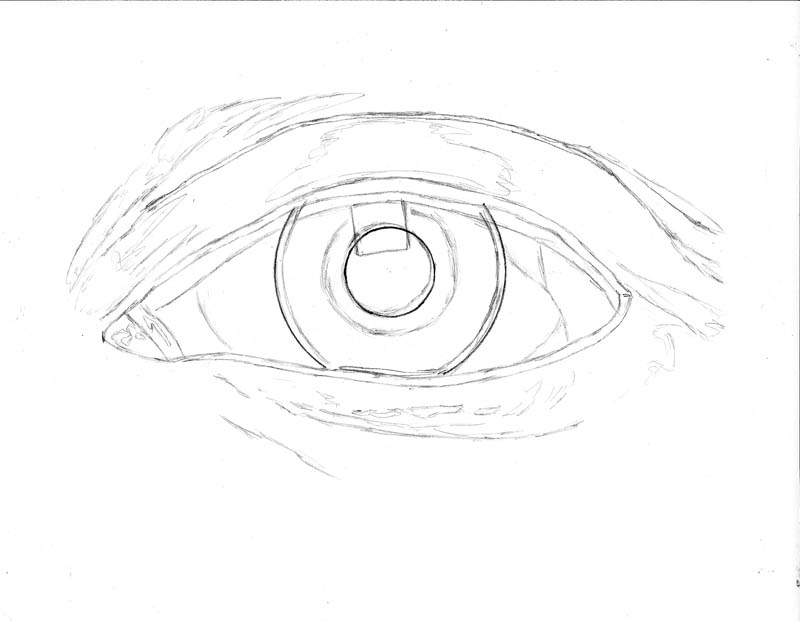 800x621 How To Draw An Eye Realistically (Part 2 Of 4) Let's Draw People