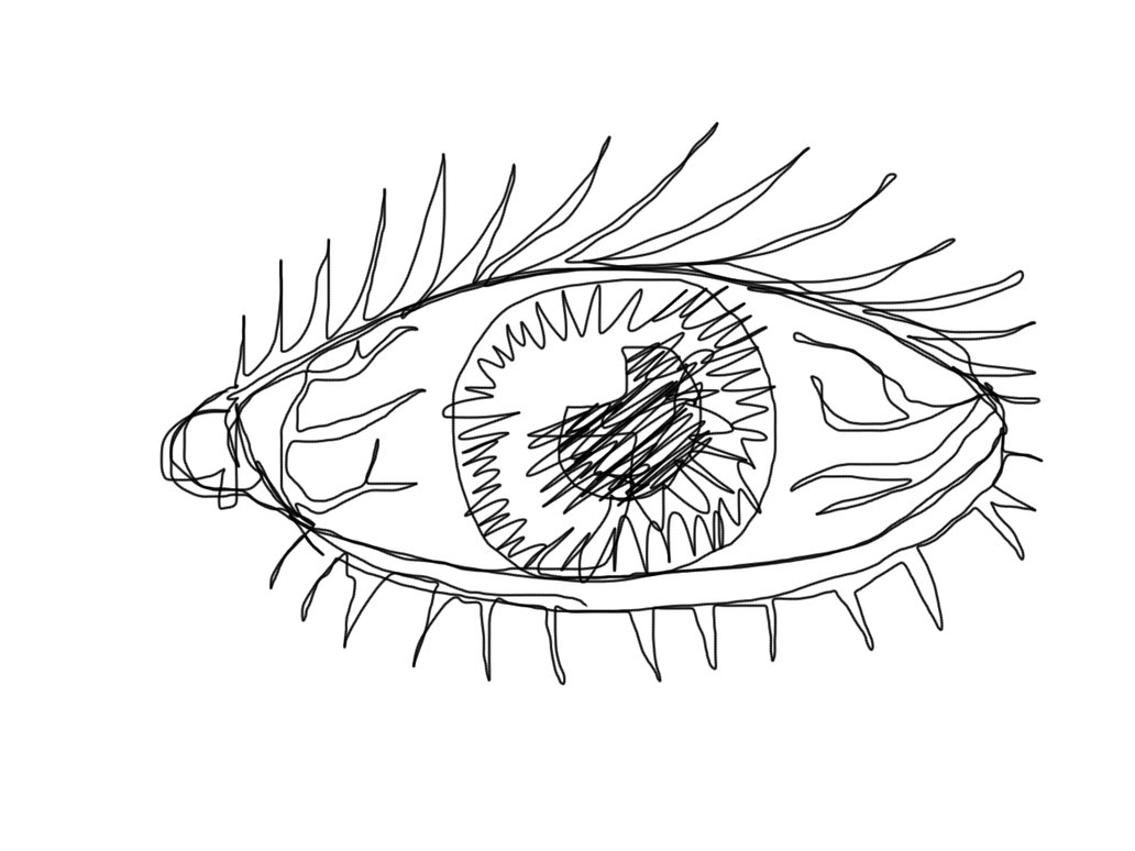 1032x774 Continuous Line Challenge Eyeball By Danlev