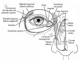 266x203 Eye Diseases