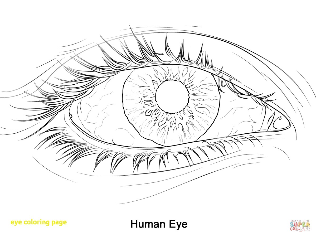 1199x899 Eye Coloring Page With Plain Decoration Eye Coloring Page Eyes
