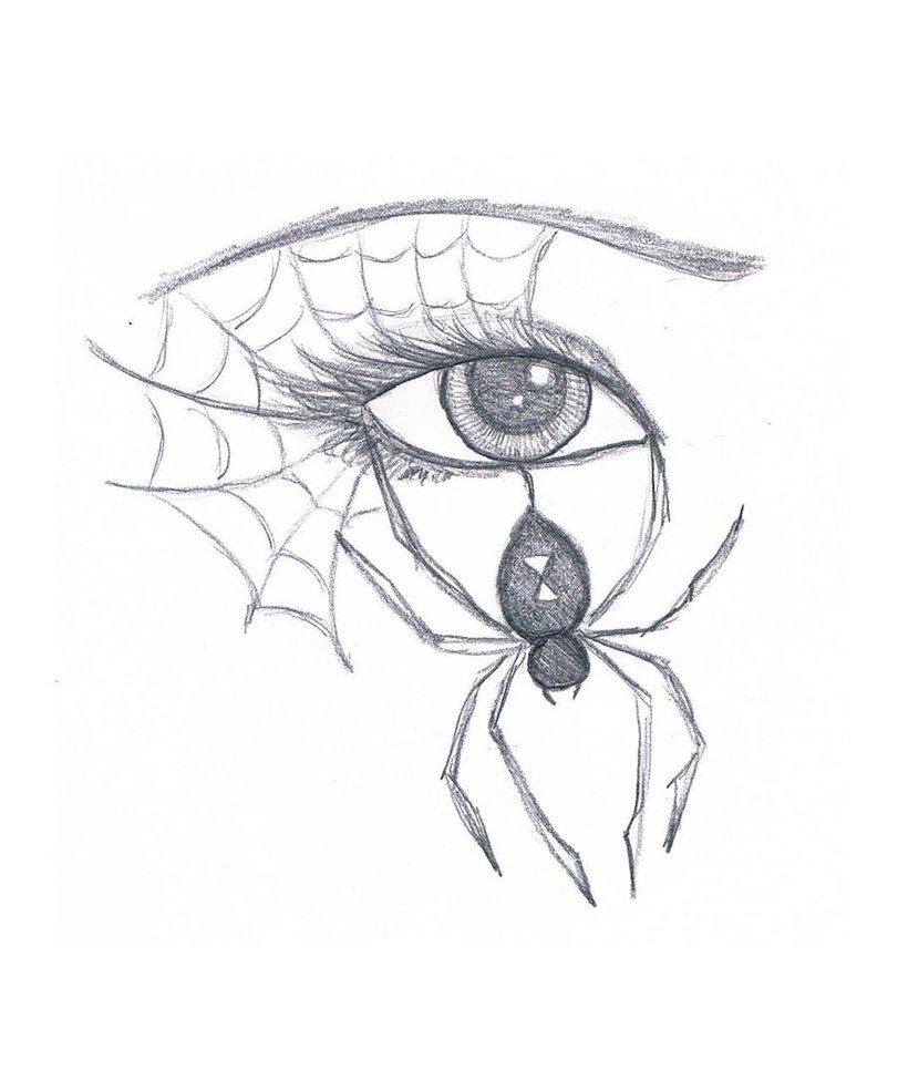 811x985 Spider Eye By Marissawalker