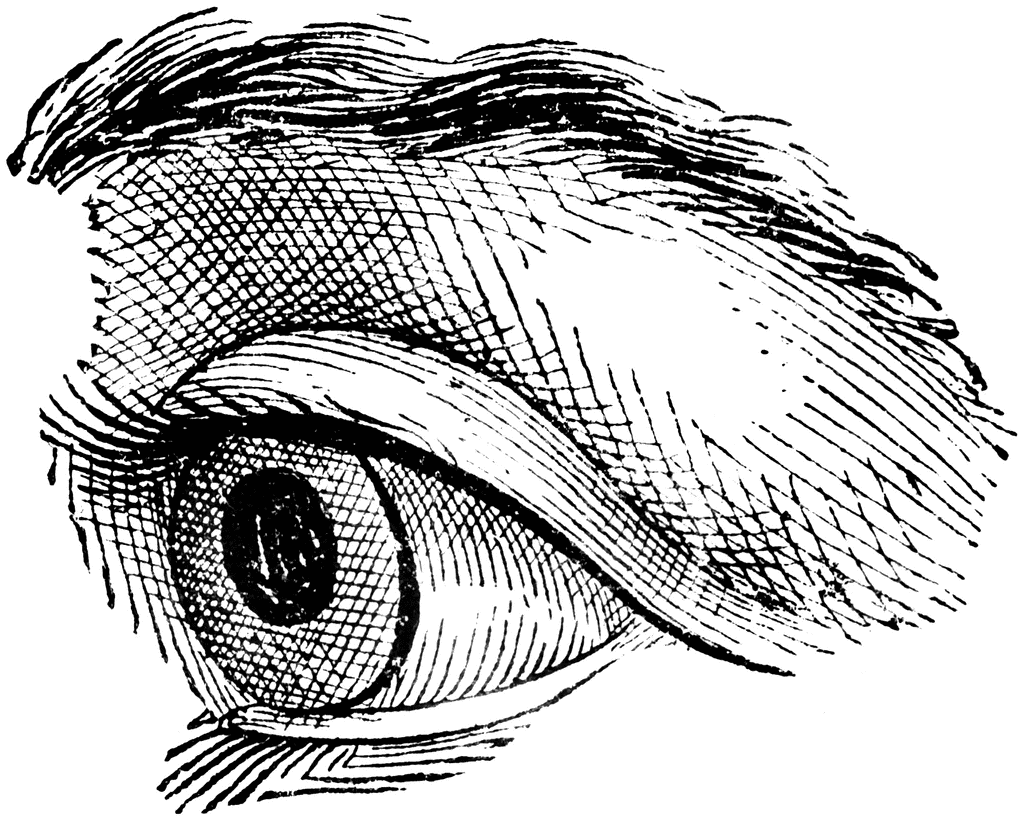 1024x820 Eye Line Art Group