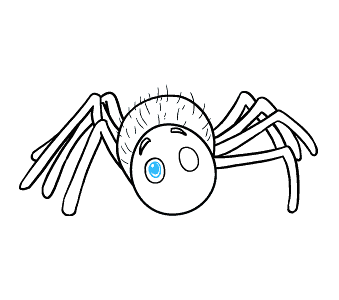 678x600 How To Draw A Cartoon Spider In A Few Easy Steps Easy Drawing Guides