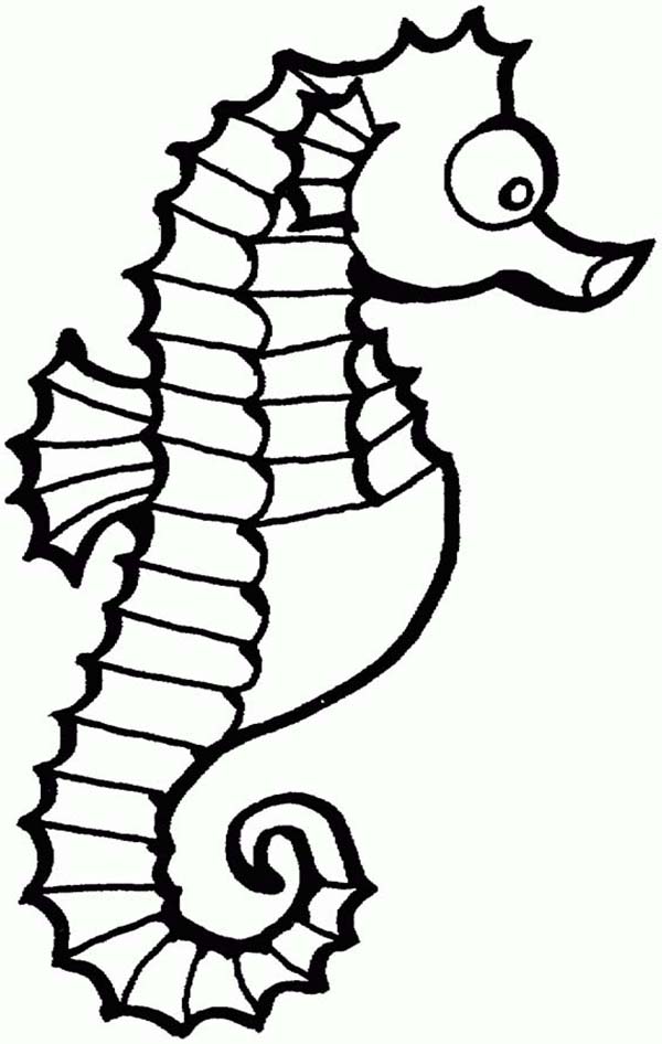 600x946 Seahorse Coloring Pages For Kids Tags Seahorse Colouring In Easy