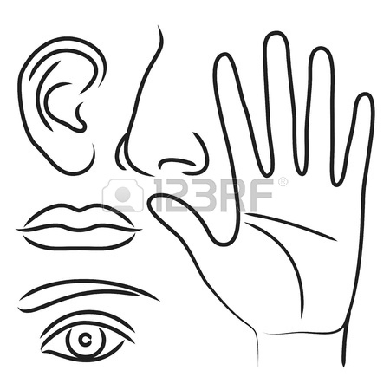 1350x1350 Eyes Nose And Mouth Coloring Page
