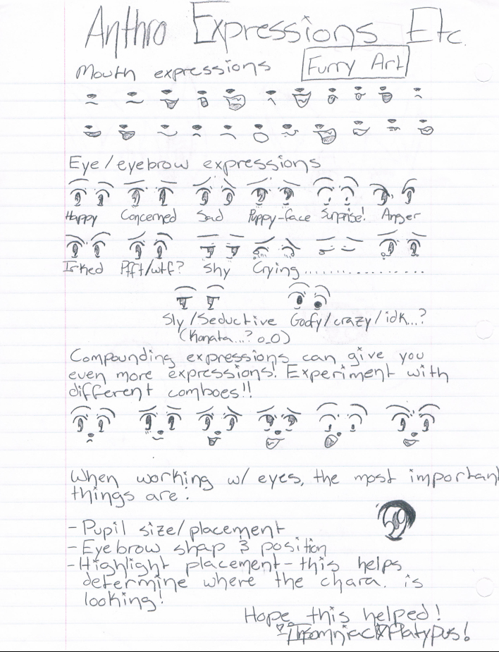 708x925 How To Draw Furry Faces Pt.1 By Xxshirokoxx