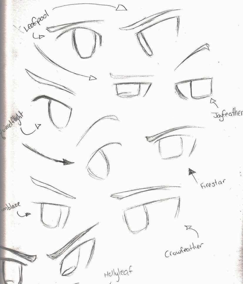 827x965 Random Warrior Cat Eyes By Applemist