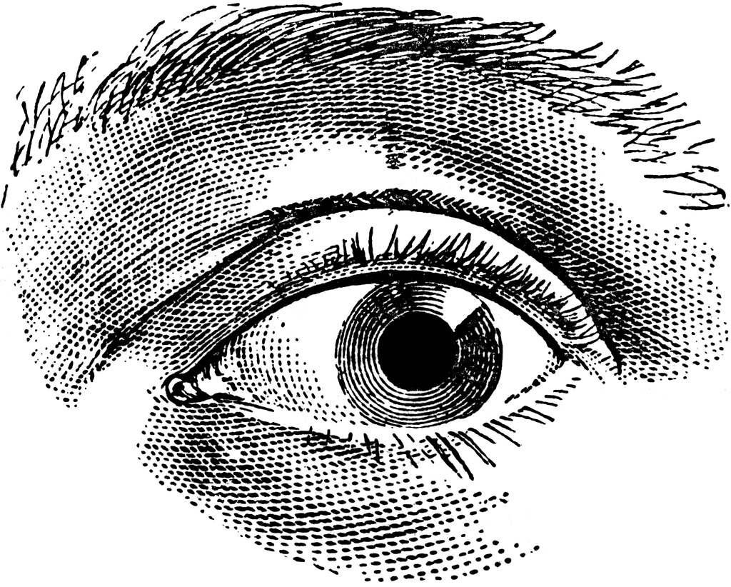1024x822 Eye Clipart Etc