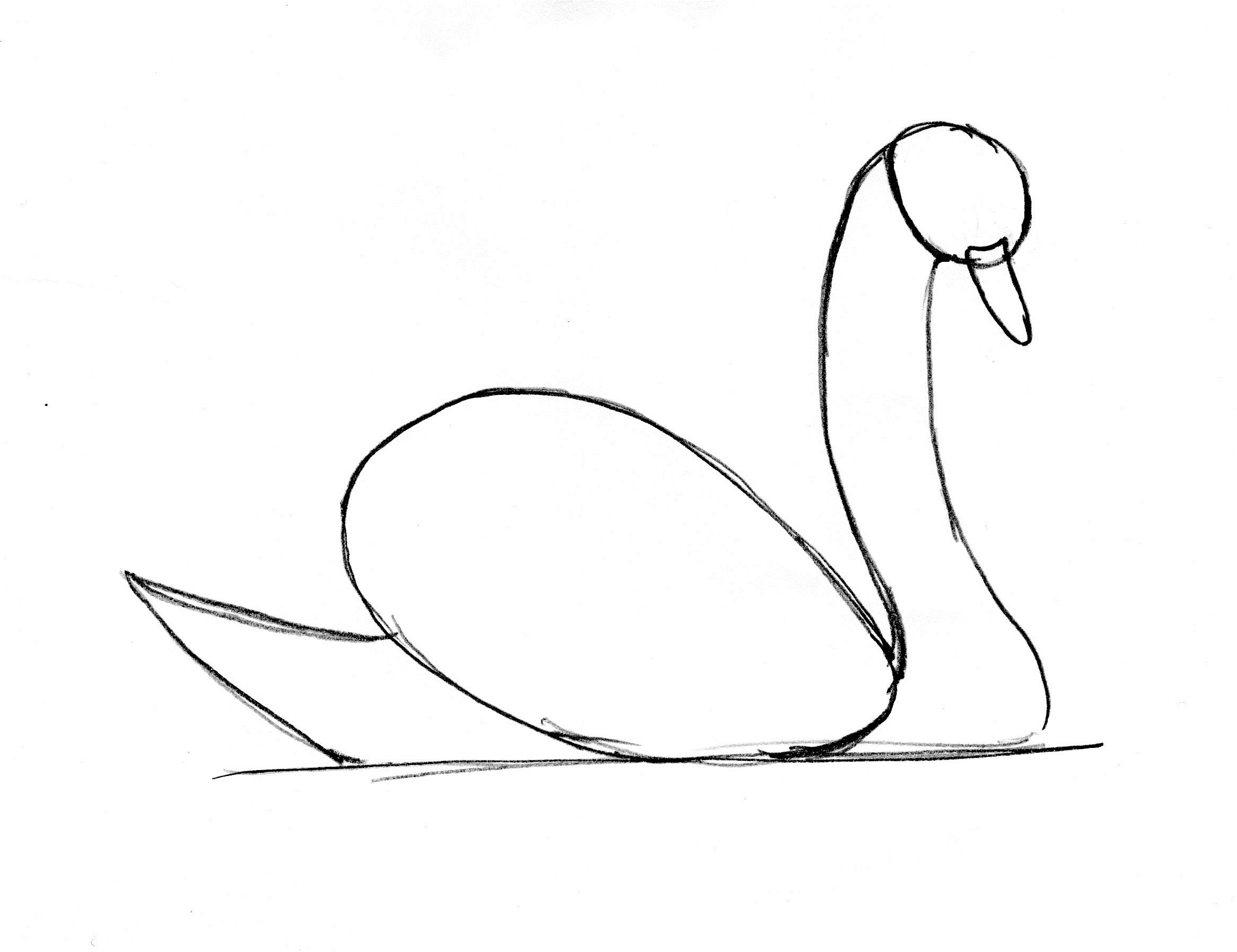 2333x1796 Swan Drawing Step By Step