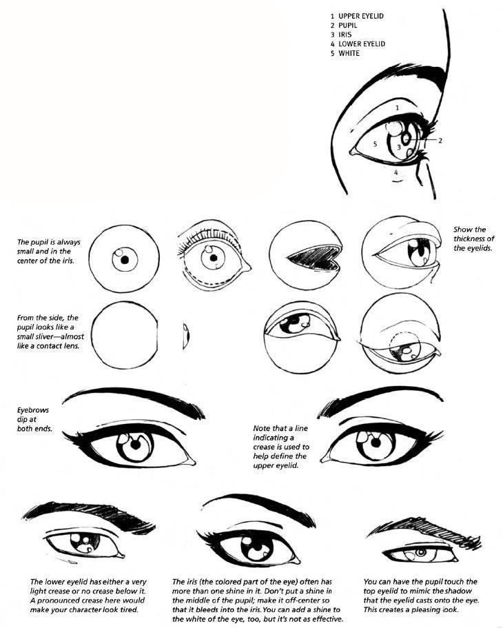 730x911 How To Draw Female Eyes Step By Step Online Drawing Lessons